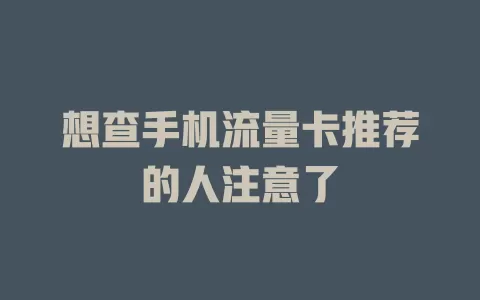 想查手机流量卡推荐的人注意了