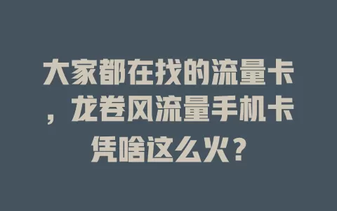 大家都在找的流量卡，龙卷风流量手机卡凭啥这么火？