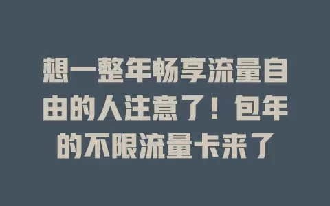 想一整年畅享流量自由的人注意了！包年的不限流量卡来了