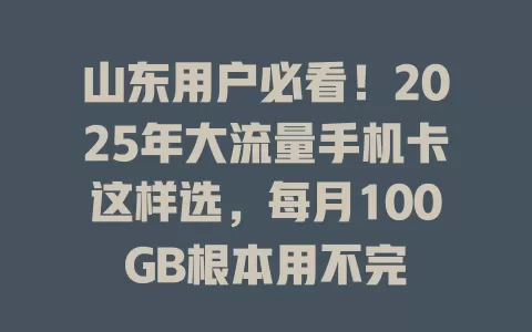 山东用户必看！2025年大流量手机卡这样选，每月100GB根本用不完