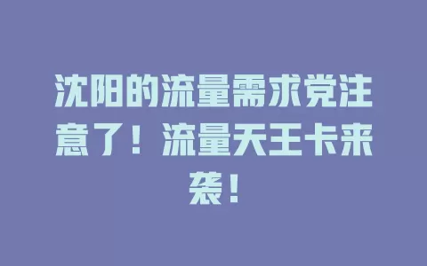 沈阳的流量需求党注意了！流量天王卡来袭！