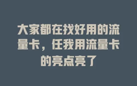 大家都在找好用的流量卡，任我用流量卡的亮点亮了