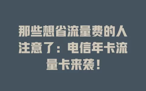 那些想省流量费的人注意了：电信年卡流量卡来袭！