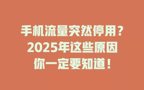 手机流量突然停用？2025年这些原因你一定要知道！