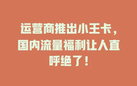 运营商推出小王卡，国内流量福利让人直呼绝了！