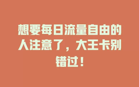 想要每日流量自由的人注意了，大王卡别错过！