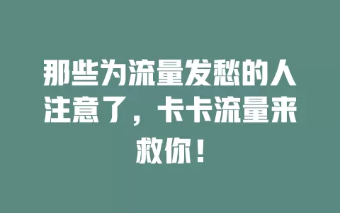 那些为流量发愁的人注意了，卡卡流量来救你！