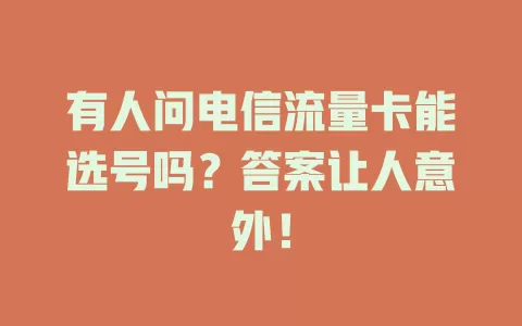 有人问电信流量卡能选号吗？答案让人意外！