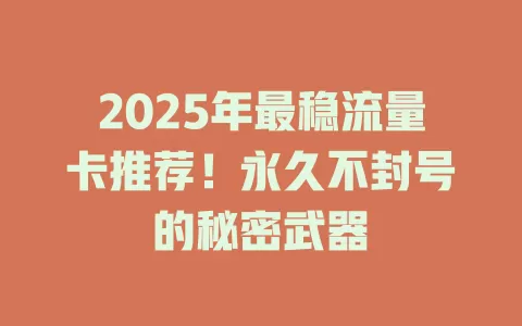2025年最稳流量卡推荐！永久不封号的秘密武器