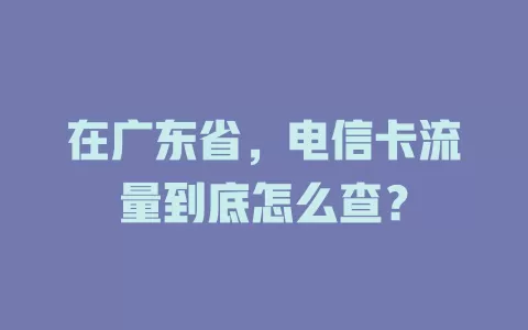 在广东省，电信卡流量到底怎么查？
