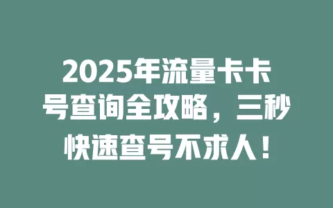 2025年流量卡卡号查询全攻略，三秒快速查号不求人！