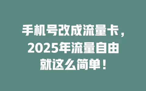 手机号改成流量卡，2025年流量自由就这么简单！