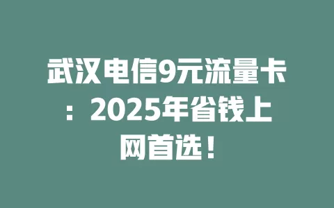 武汉电信9元流量卡：2025年省钱上网首选！