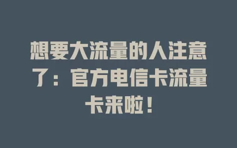 想要大流量的人注意了：官方电信卡流量卡来啦！