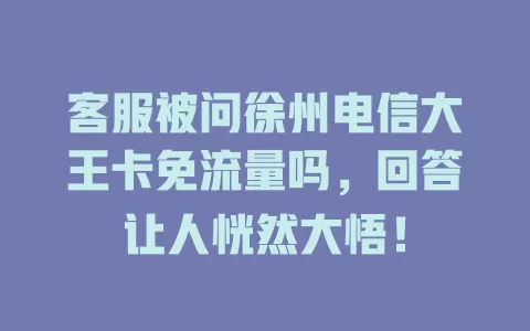 客服被问徐州电信大王卡免流量吗，回答让人恍然大悟！