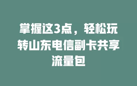 掌握这3点，轻松玩转山东电信副卡共享流量包