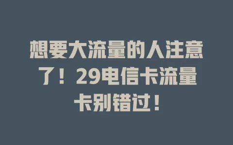 想要大流量的人注意了！29电信卡流量卡别错过！