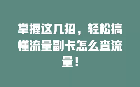 掌握这几招，轻松搞懂流量副卡怎么查流量！
