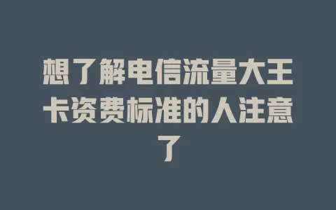 想了解电信流量大王卡资费标准的人注意了