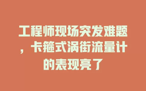 工程师现场突发难题，卡箍式涡街流量计的表现亮了