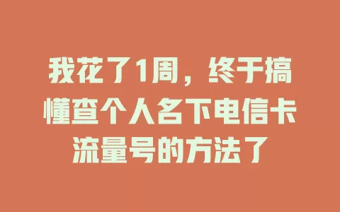 我花了1周，终于搞懂查个人名下电信卡流量号的方法了