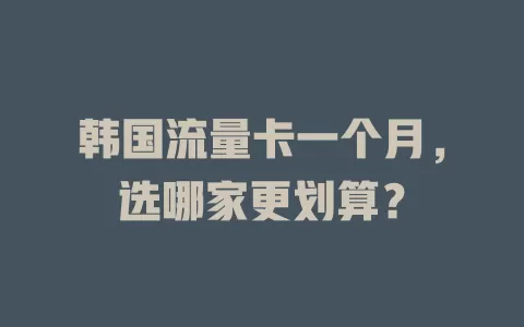 韩国流量卡一个月，选哪家更划算？