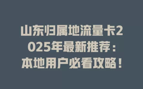 山东归属地流量卡2025年最新推荐：本地用户必看攻略！