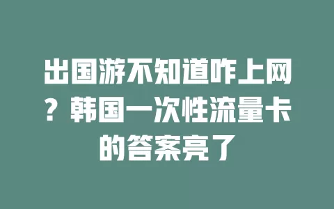 出国游不知道咋上网？韩国一次性流量卡的答案亮了