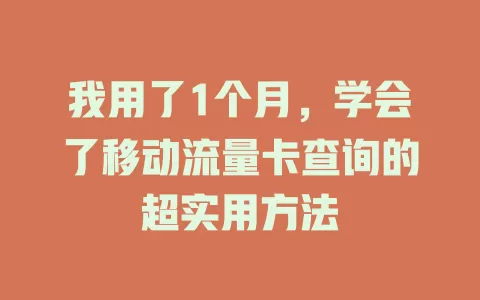 我用了1个月，学会了移动流量卡查询的超实用方法