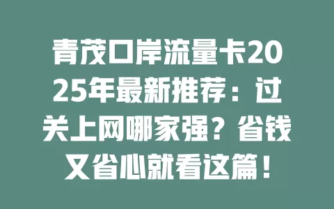 青茂口岸流量卡2025年最新推荐：过关上网哪家强？省钱又省心就看这篇！