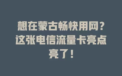 想在蒙古畅快用网？这张电信流量卡亮点亮了！