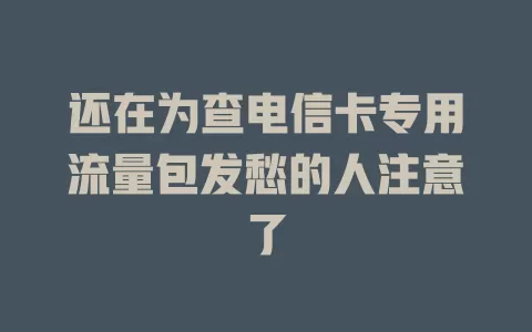 还在为查电信卡专用流量包发愁的人注意了