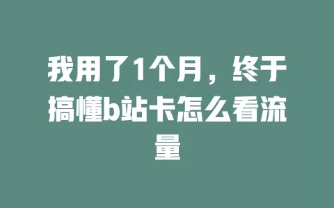 我用了1个月，终于搞懂b站卡怎么看流量