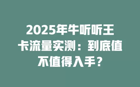 2025年牛听听王卡流量实测：到底值不值得入手？