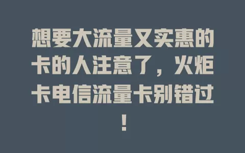 想要大流量又实惠的卡的人注意了，火炬卡电信流量卡别错过！