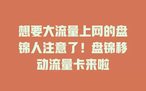想要大流量上网的盘锦人注意了！盘锦移动流量卡来啦