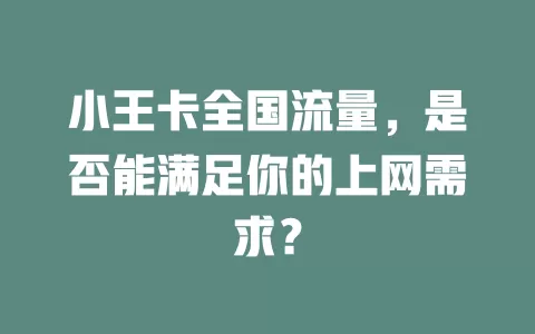 小王卡全国流量，是否能满足你的上网需求？