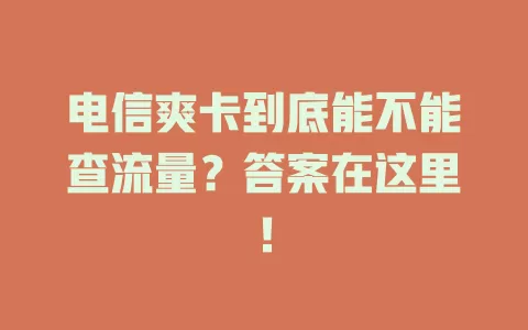 电信爽卡到底能不能查流量？答案在这里！