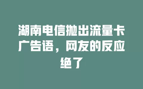 湖南电信抛出流量卡广告语，网友的反应绝了