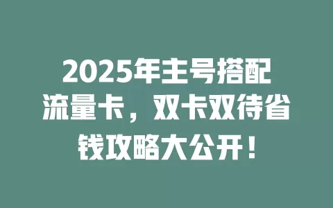 2025年主号搭配流量卡，双卡双待省钱攻略大公开！