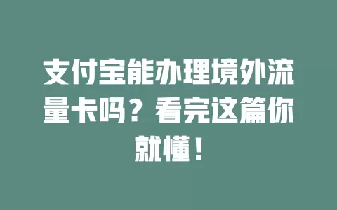 支付宝能办理境外流量卡吗？看完这篇你就懂！