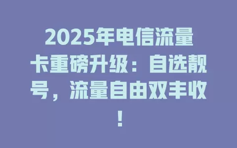 2025年电信流量卡重磅升级：自选靓号，流量自由双丰收！