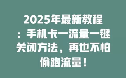 2025年最新教程：手机卡一流量一键关闭方法，再也不怕偷跑流量！