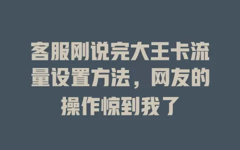 客服刚说完大王卡流量设置方法，网友的操作惊到我了