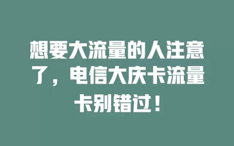 想要大流量的人注意了，电信大庆卡流量卡别错过！