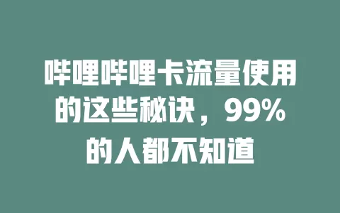 哔哩哔哩卡流量使用的这些秘诀，99%的人都不知道