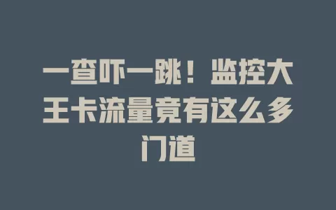 一查吓一跳！监控大王卡流量竟有这么多门道