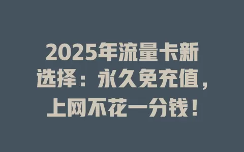 2025年流量卡新选择：永久免充值，上网不花一分钱！