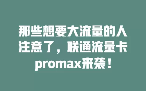 那些想要大流量的人注意了，联通流量卡promax来袭！