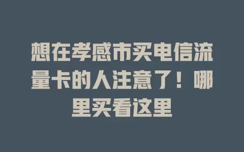 想在孝感市买电信流量卡的人注意了！哪里买看这里